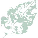 cropped-favicon.png